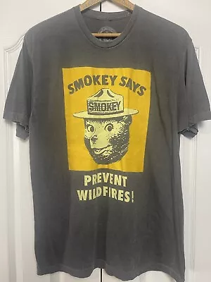 Buy Smokey The Bear Official Licensed Product Men's Gray Short Sleeve T-shirt XL • 11.08£