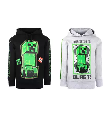 Buy Minecraft Black & Grey Hoodie - Minecraft Game Kids Hoodie Minecraft Sweatshirt • 19.99£
