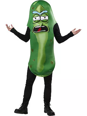 Buy Unisex Pickle Rick Costume Rick And Morty TV Show Cartoon Adult Fancy Dress • 39.16£