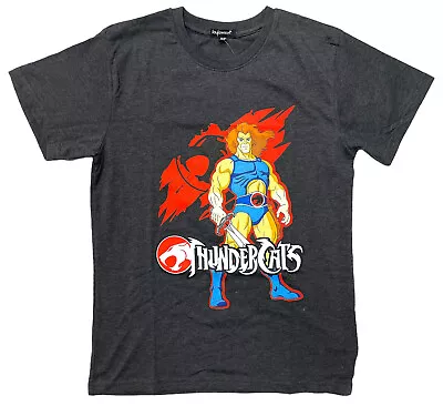 Buy Boys Original ThunderCats Lion-O T-Shirt Top Charcoal Grey 3 - 10 Years NEW • 4.95£