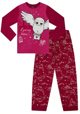 Buy Girls Harry Potter Long Pyjamas Hedwig I Got My Letter Hogwarts Pjs 6 To 12 Yrs  • 14.99£