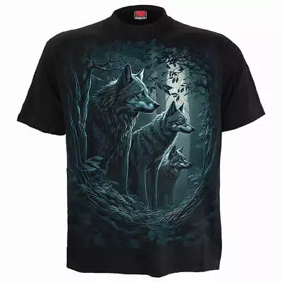 Buy FOREST GUARDIANS - T-Shirt Black • 17.99£