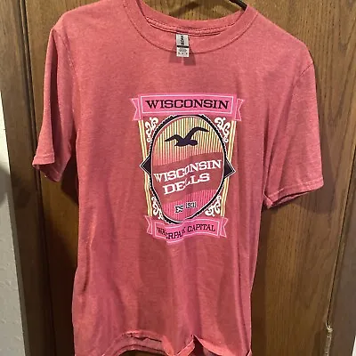 Buy Men’s T-shirt Size Medium Pink Wisconsin Dale‘s Waterpark Capital • 12.14£