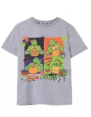 Buy Teenage Mutant Ninja Turtles Grey Boo Crew Short Sleeved T-Shirt (Unisex Kids) • 10.95£