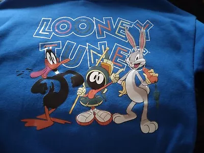 Buy Looney Tunes Hoodie Age 3-4 Good Condition • 8.99£