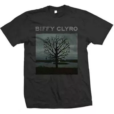 Buy Biffy Clyro Men's Chandelier Short Sleeve T-Shirt, Black, Large • 17.30£