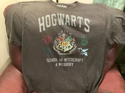 Buy Harry Potter Hogwarts School Of Witchcraft & Wizardry T-Shirt Men's XL Gray • 5.59£
